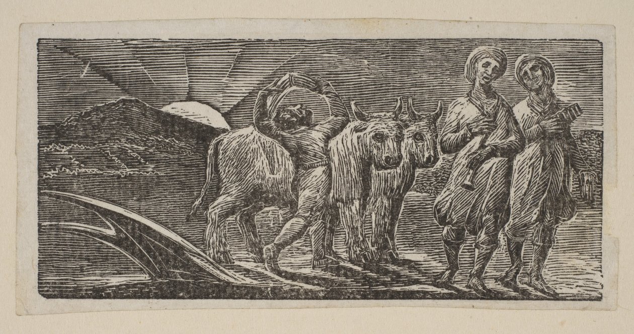 Ragazzo che torna gioiosamente, con aratro e buoi, da Le pastorali di Virgilio di Thornton, 1821 da William Blake