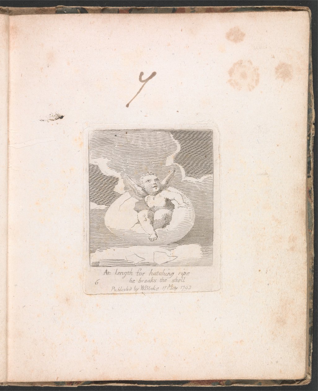 Per Bambini. Le Porte del Paradiso, Tavola 8, Alla fine per la schiusa matura rompe il guscio da William Blake