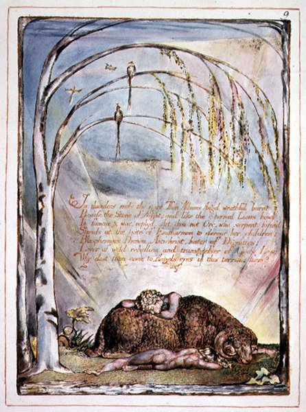 "In tuoni finisce la voce", tavola 7 da 