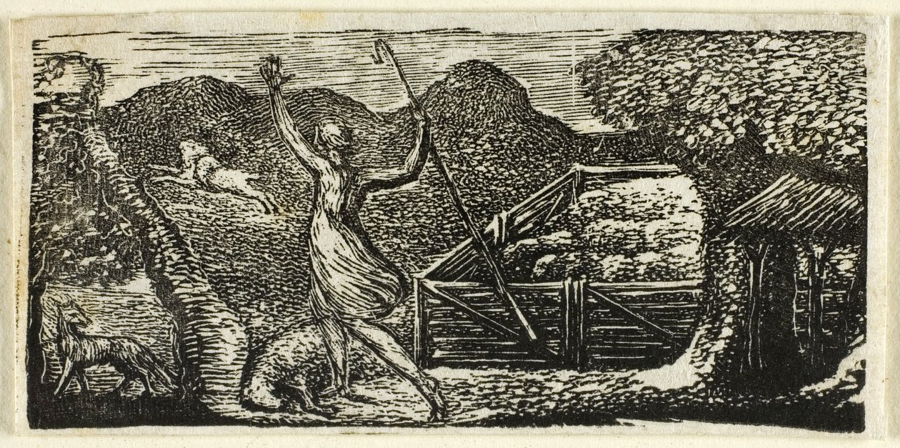 Il pastore scaccia il lupo, da Le Pastorali di Virgilio da William Blake