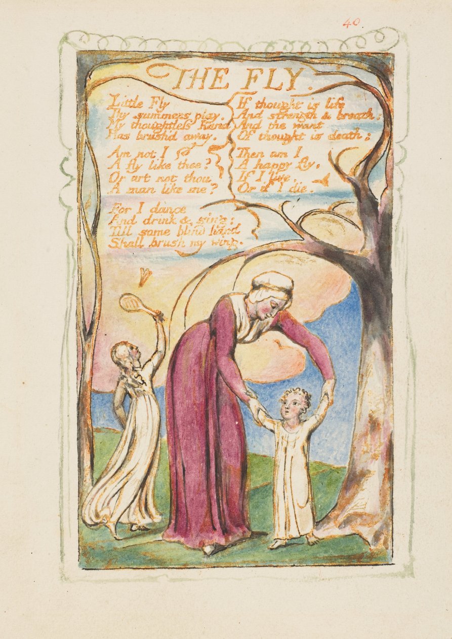 Lieder der Erfahrung: Die Fliege da William Blake
