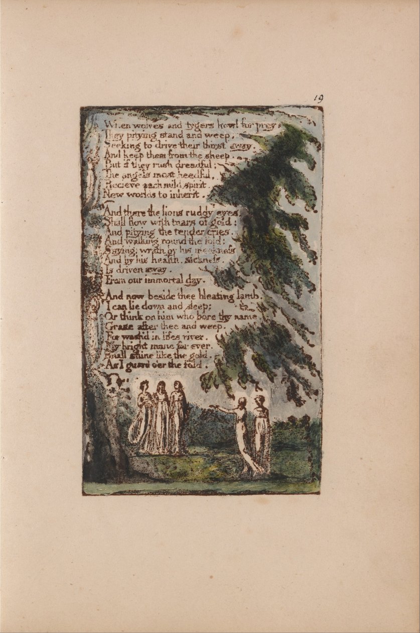 Canzoni dell
