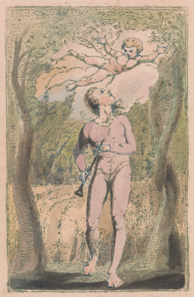 Canzoni dell