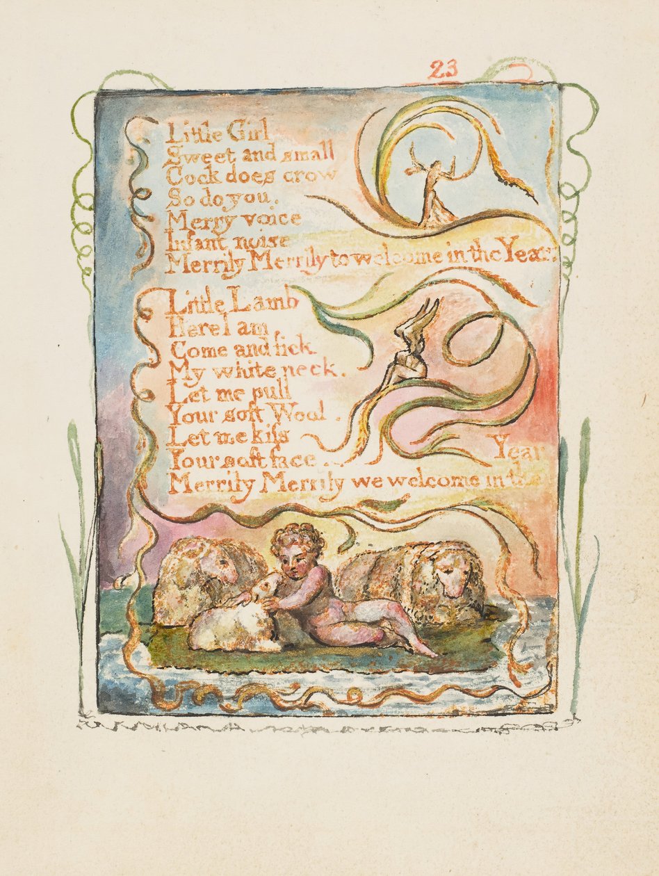 Canzoni dell