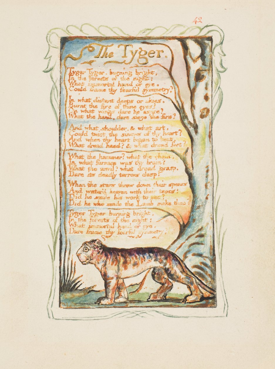 Canzoni dell