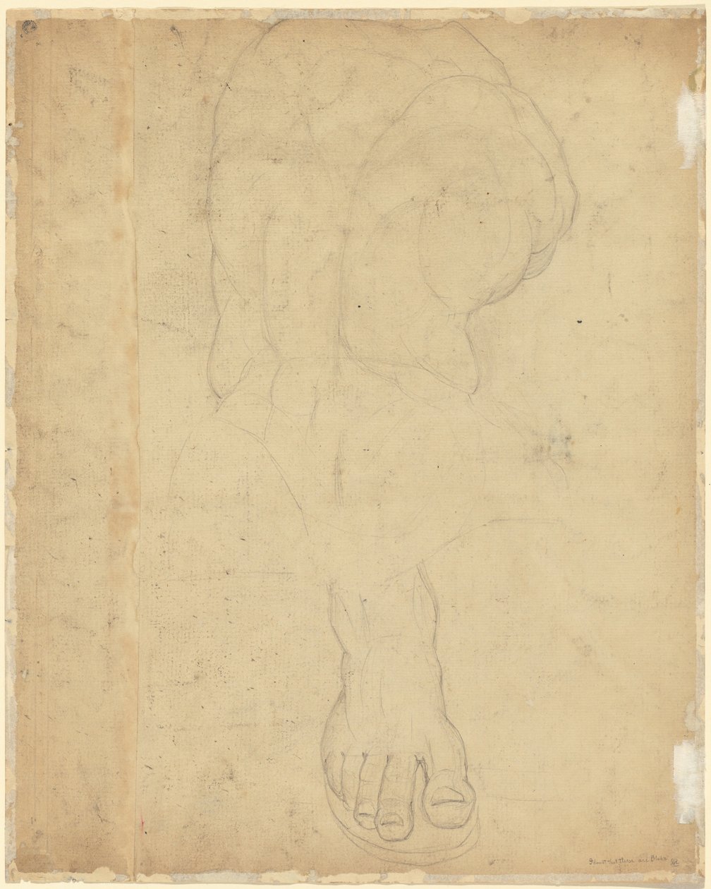 Il Torso del Belvedere [verso] da William Blake