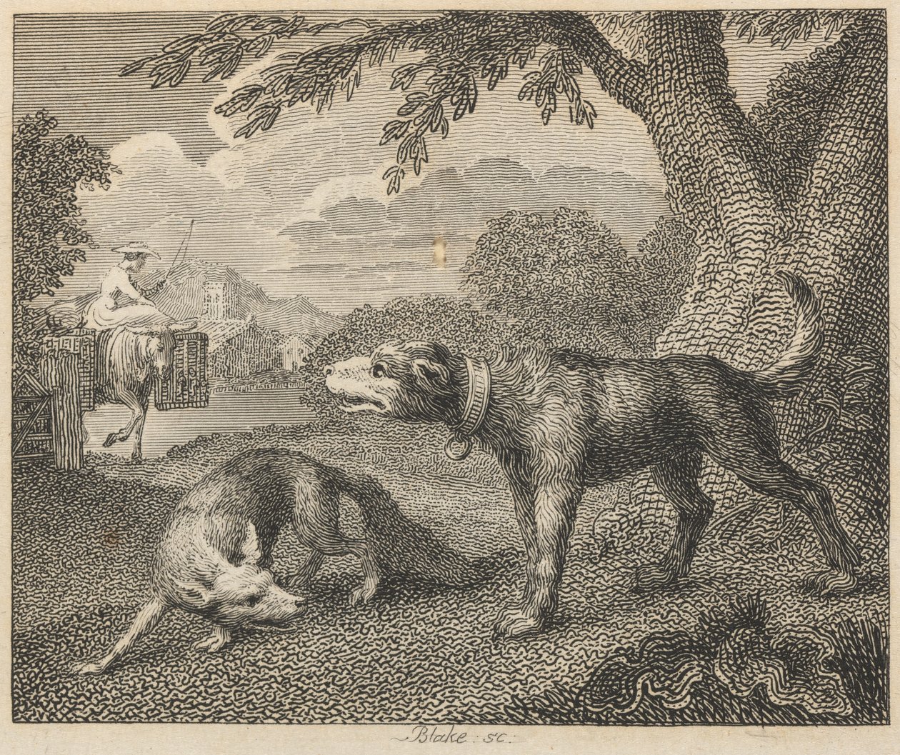Il Cane e la Volpe da William Blake