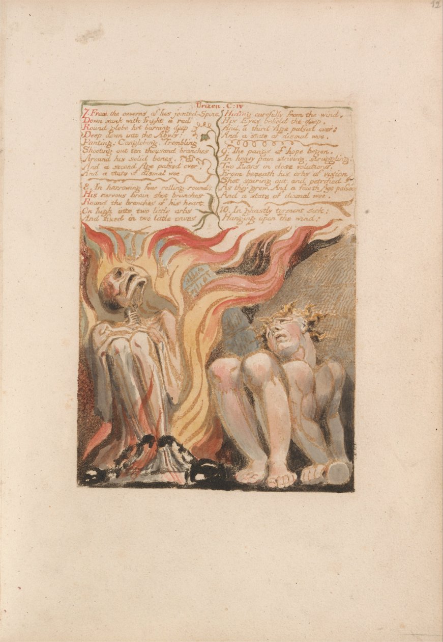 Il primo libro di Urizen, Tavola 14, 7. Dalle caverne della sua spina dorsale articolata... (Bentley 11) da William Blake