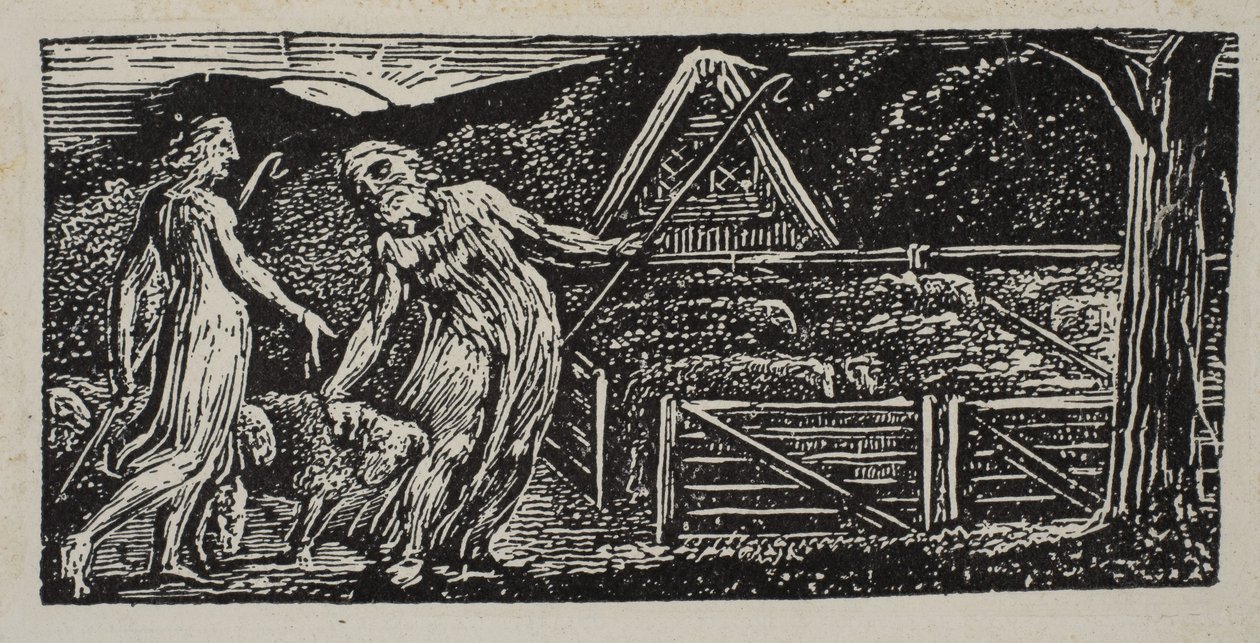 Thenot e Colinet guidano i loro greggi insieme, dai Pastorali di Virgilio di Thornton da William Blake