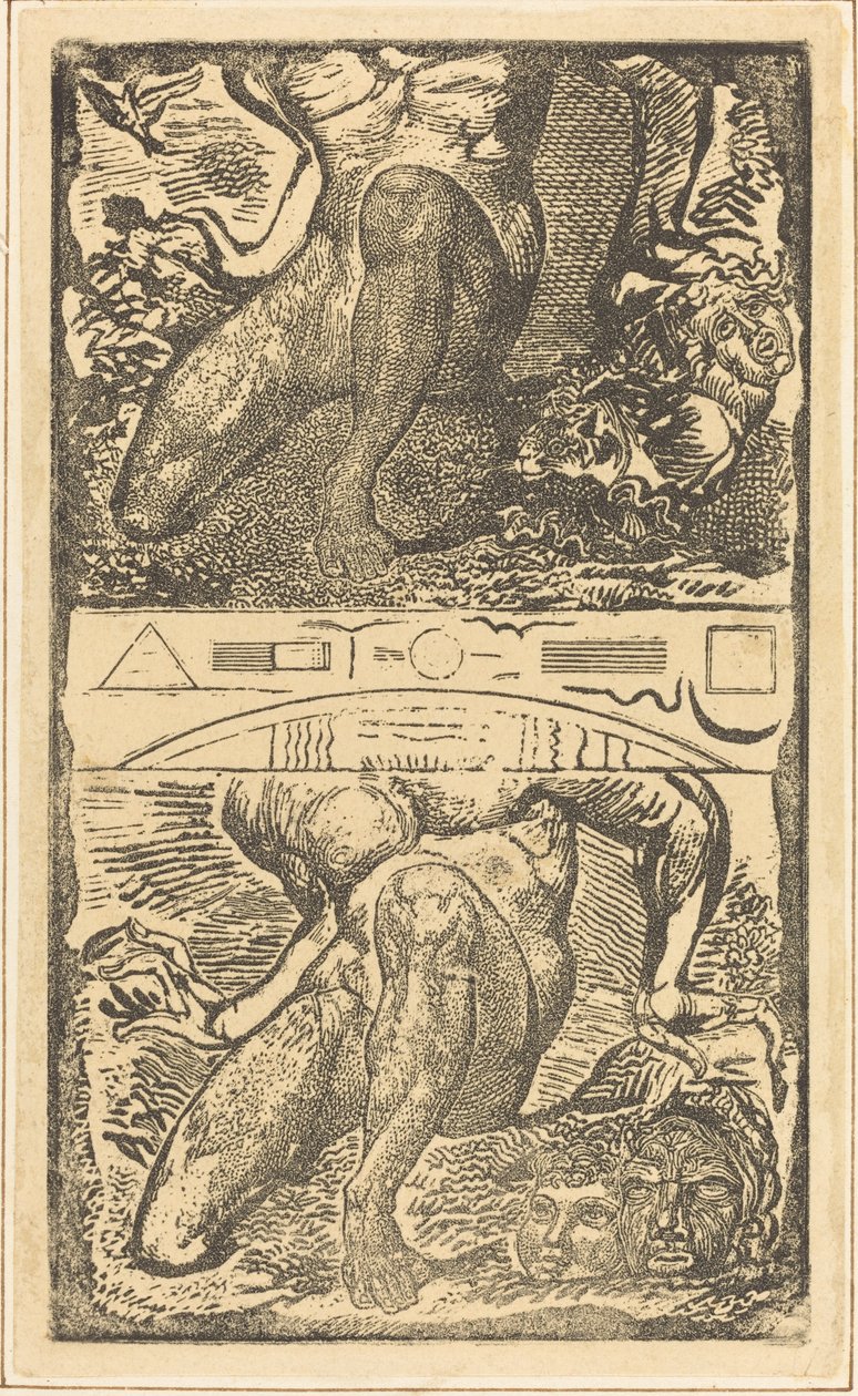 Soggetto sconosciuto da William Blake