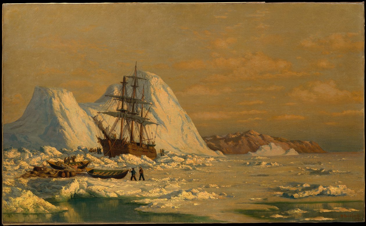 Un episodio di caccia alle balene da William Bradford