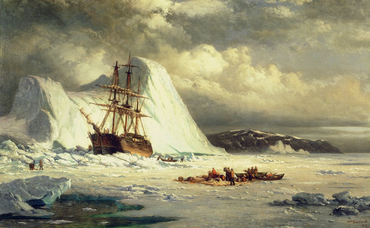 Nave con ghiaccio, 1880 circa (olio su tela) da William Bradford
