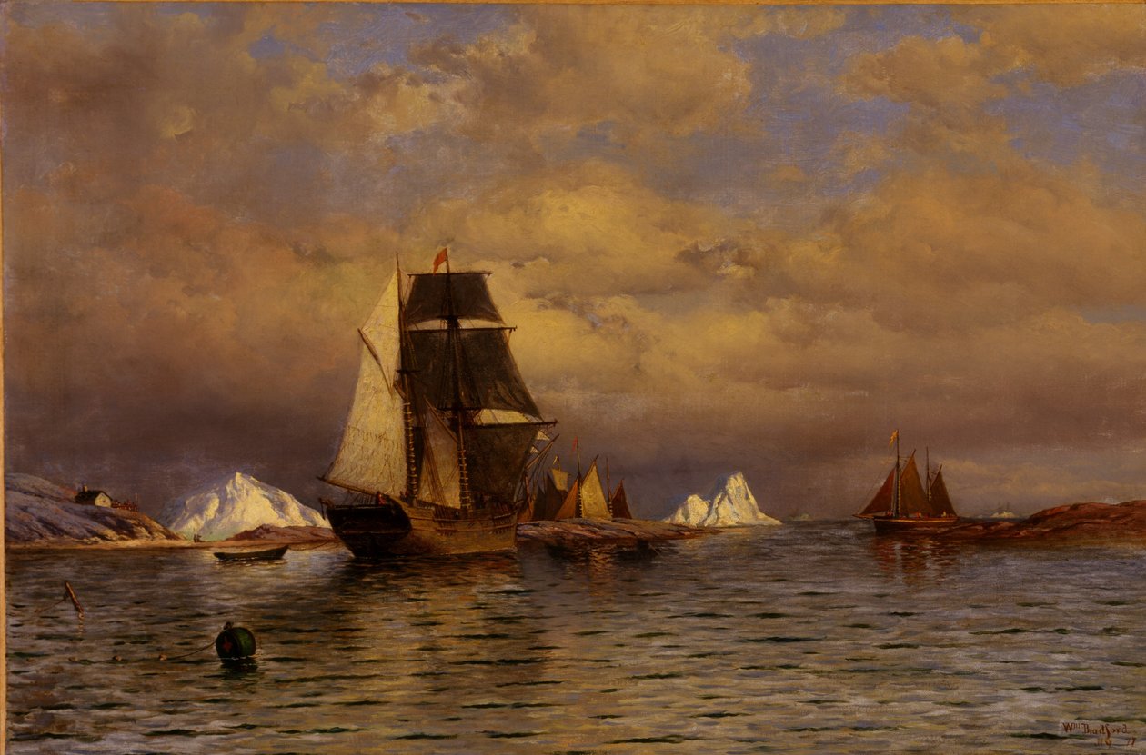 Guardando fuori dal porto di Battle da William Bradford