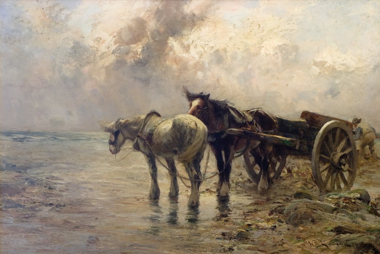 Una giornata ventosa da William Bradley Lamond