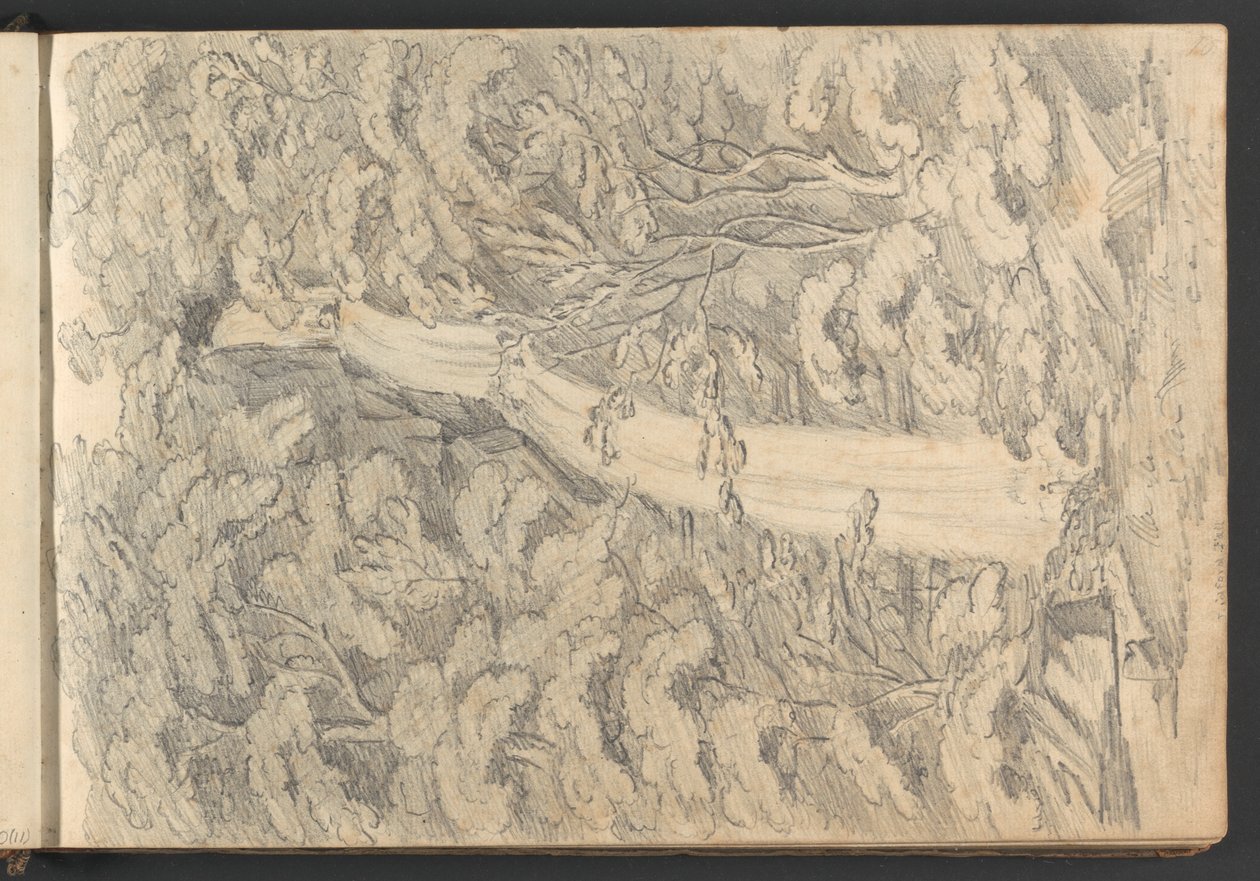 Cascata di Lidford da William Brockedon