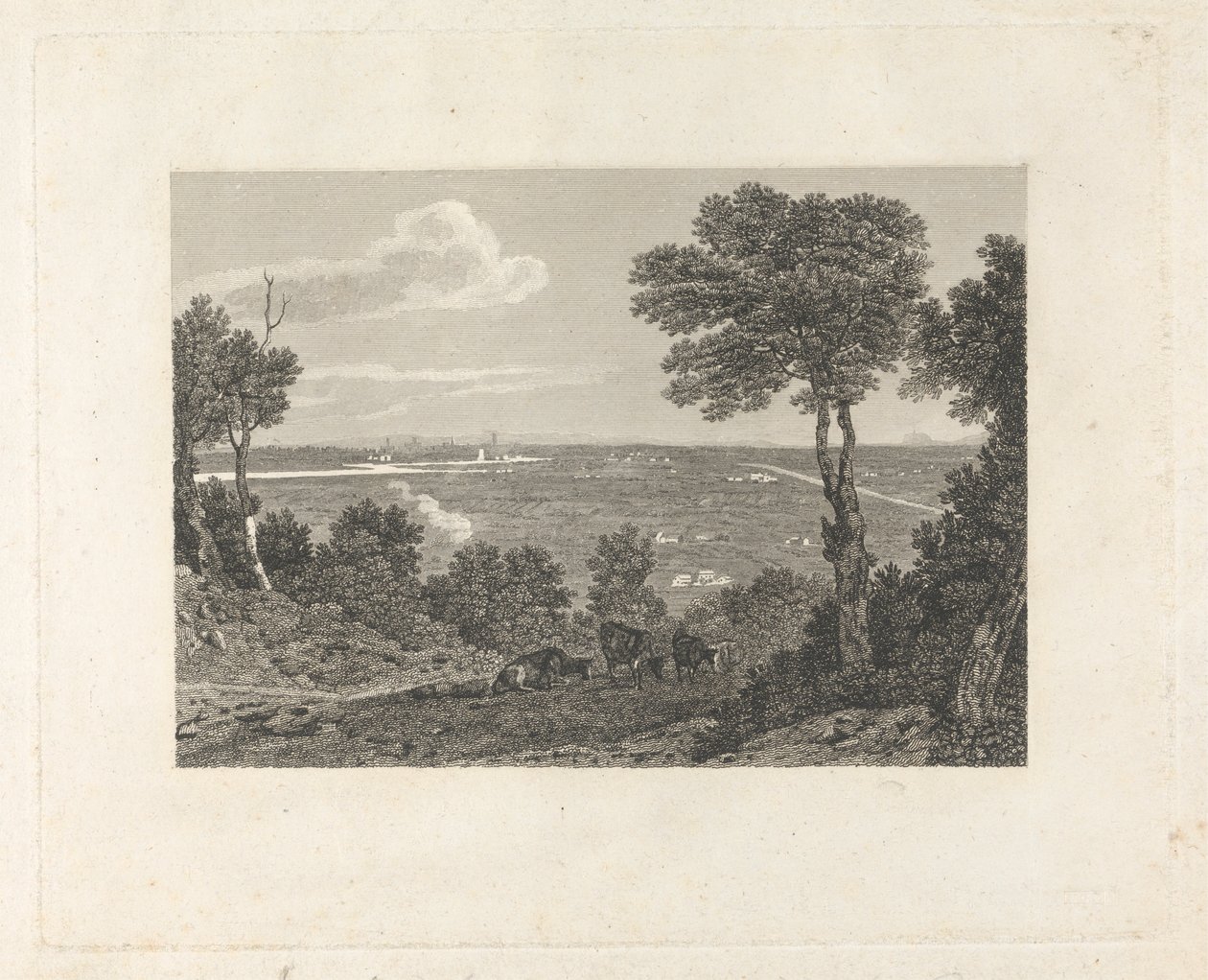 Vista lontana di Chester da William Byrne