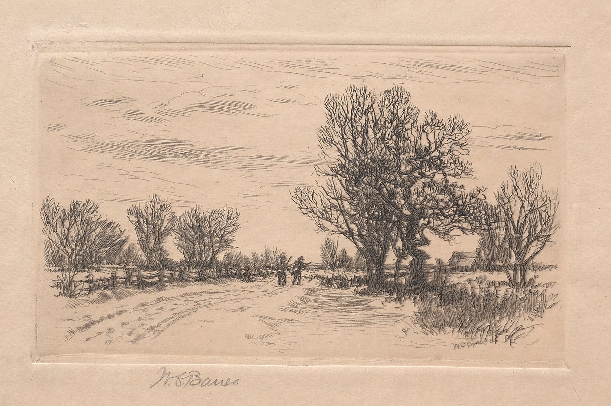 Paesaggio da William C. Bauer