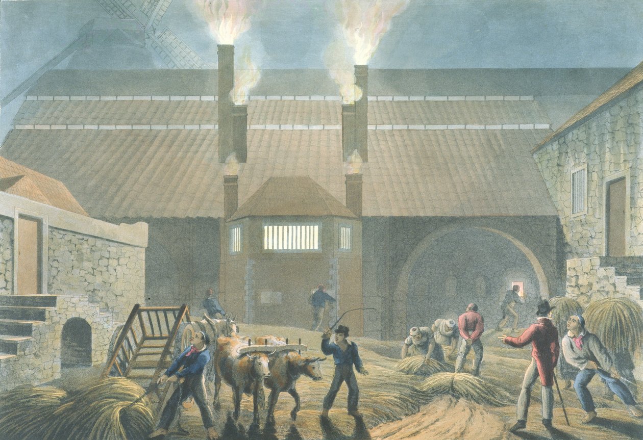 Esterno della casa di ebollizione, da 