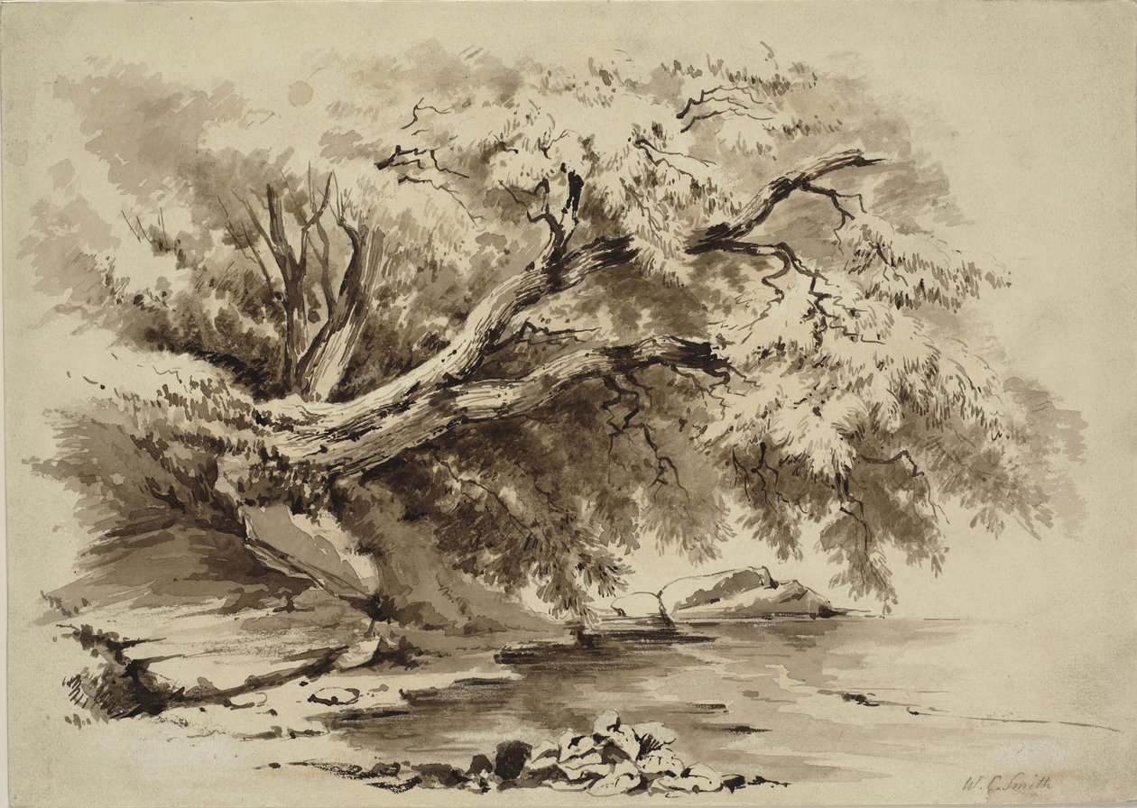 Paesaggio con alberi che sovrastano un lago da William Collingwood Smith