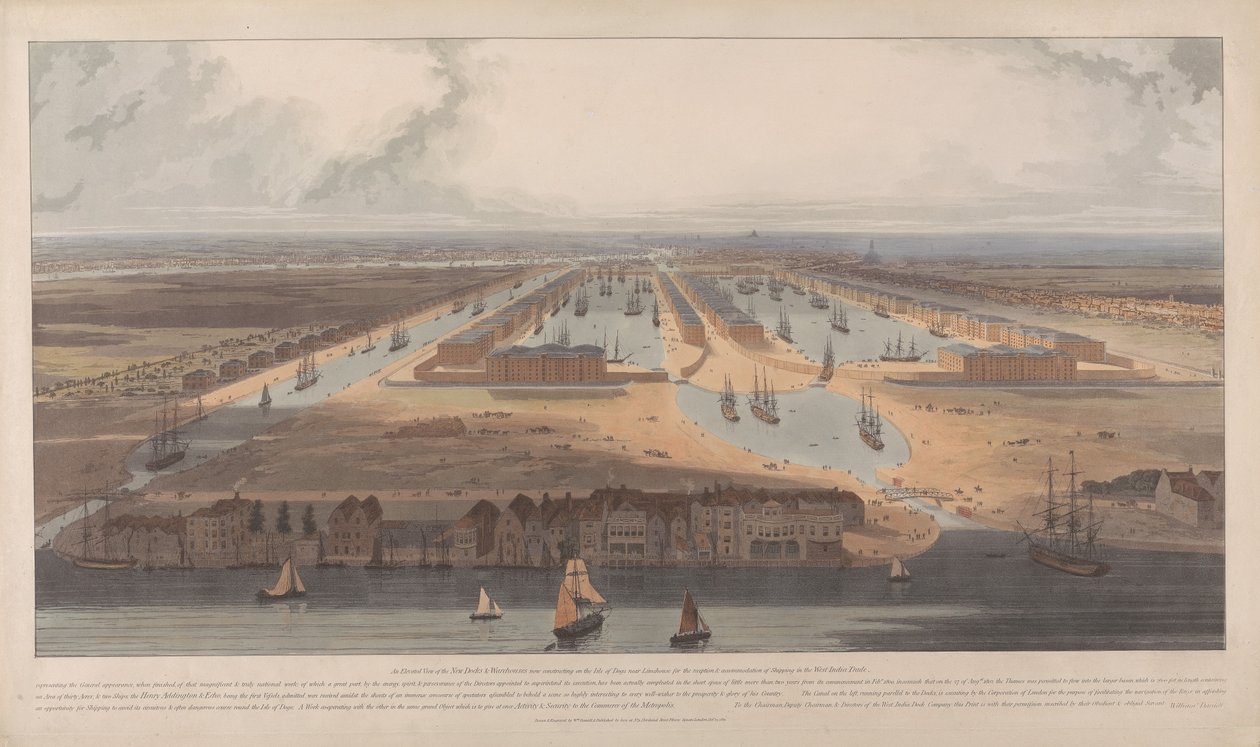Una veduta dei West India Docks da William Daniell