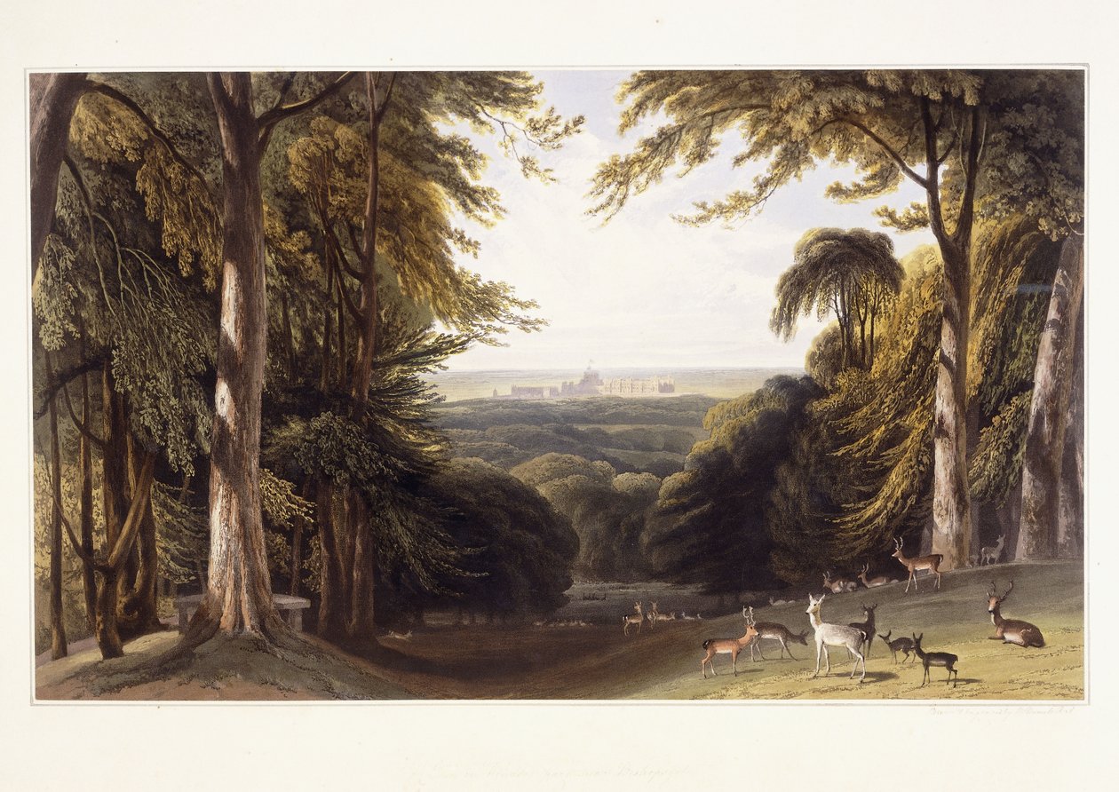 Castello di Windsor dal parco dei cervi, c.1827-1829 da William Daniell