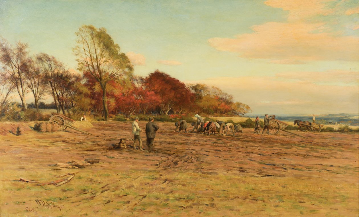 Raccolta di Patate da William Darling McKay