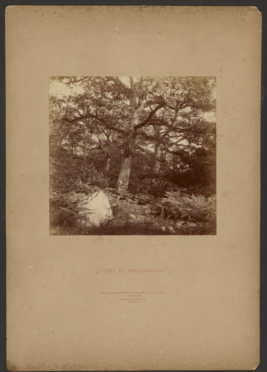 Foresta di Fontainebleau da William Drooke Harrison