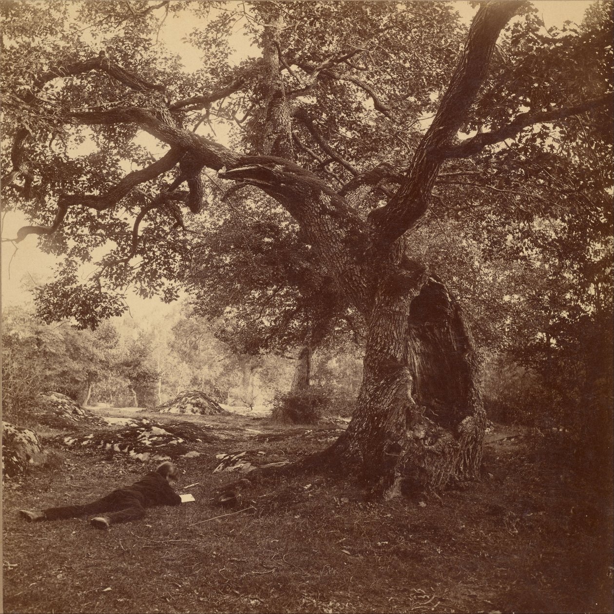 Foresta di Fontainebleau da William Drooke Harrison