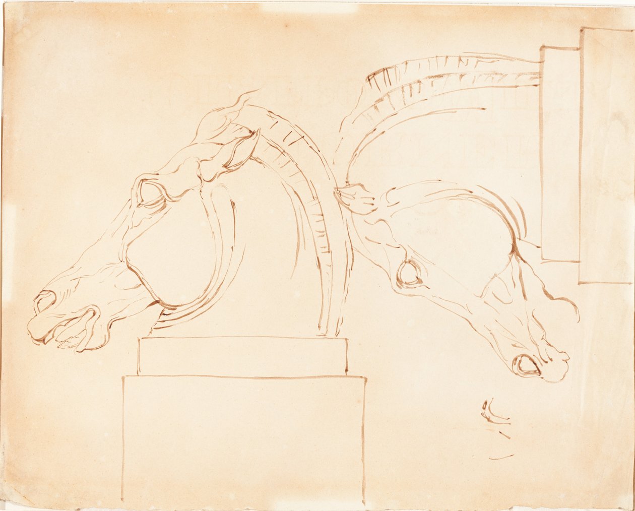 Il cavallo di Selene dai Marmi di Elgin [recto] da William Etty