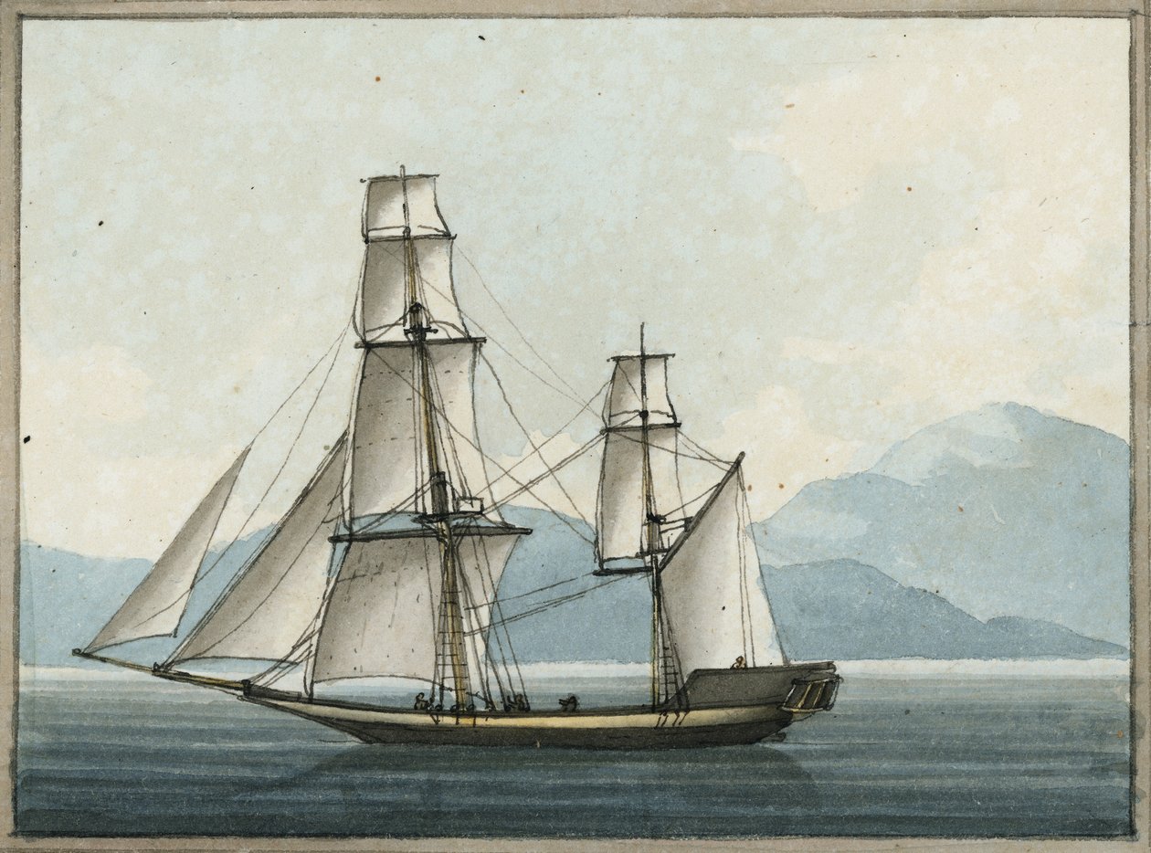 Il Grab di Bombay da William Ffarington