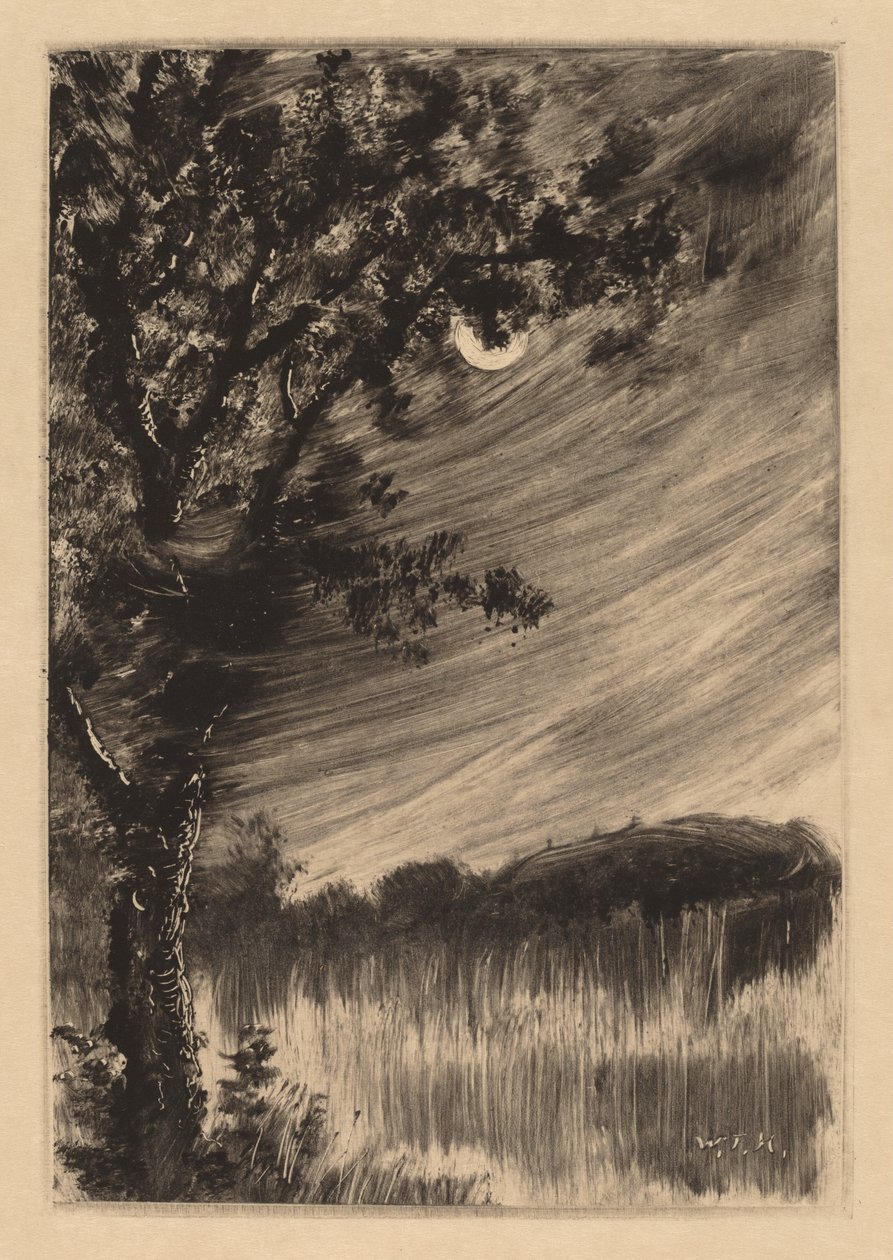 Paesaggio al chiaro di luna con albero a sinistra da William Fowler Hopson