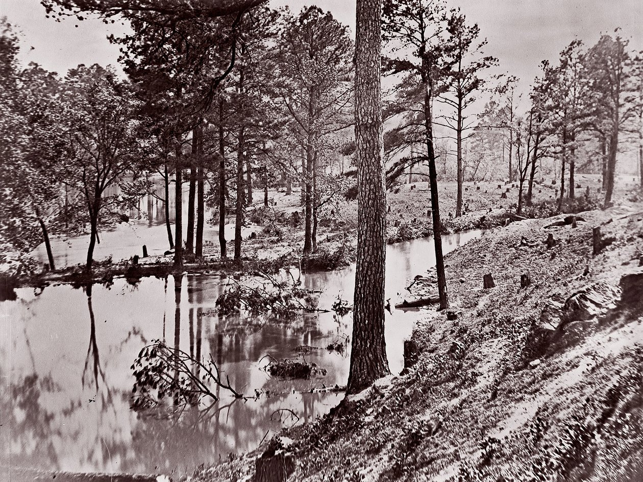 Broadway Landing, fiume Appomattox, 1864 da William Frank Browne