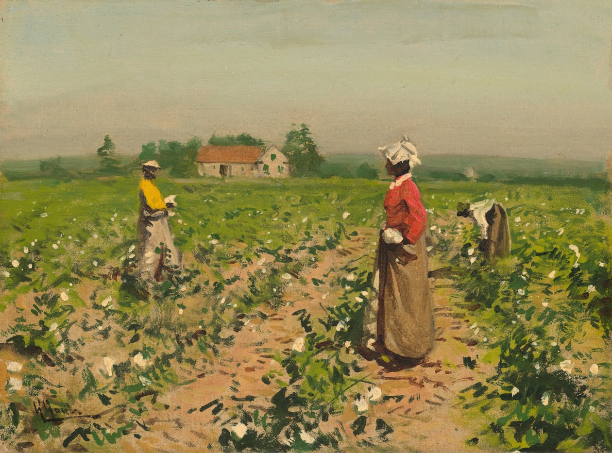 Raccolta del cotone da William Gilbert Gaul