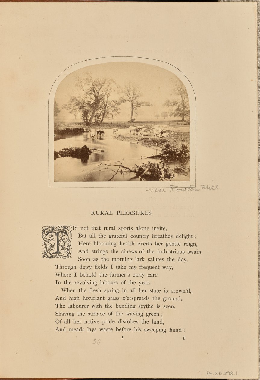 [Scena pastorale con bestiame in un campo allagato, Inghilterra]. da William Grundy