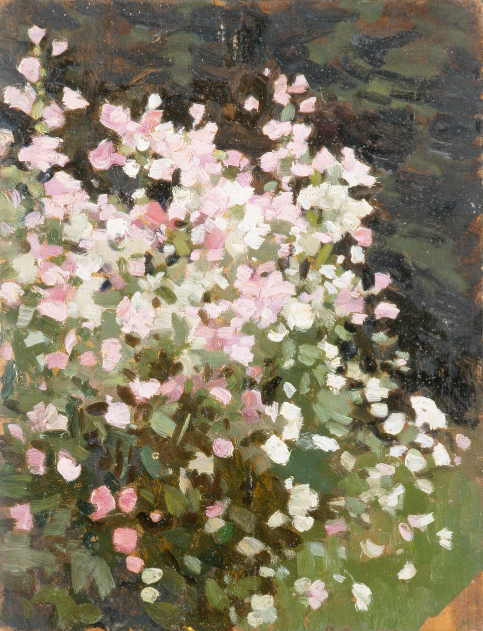 Fiori rosa da William Gunning King
