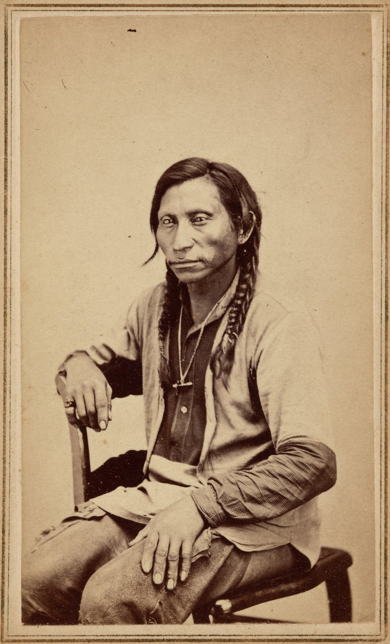 Lupo grigio, anni 1860 (foto) da William Gunnison Chamberlain
