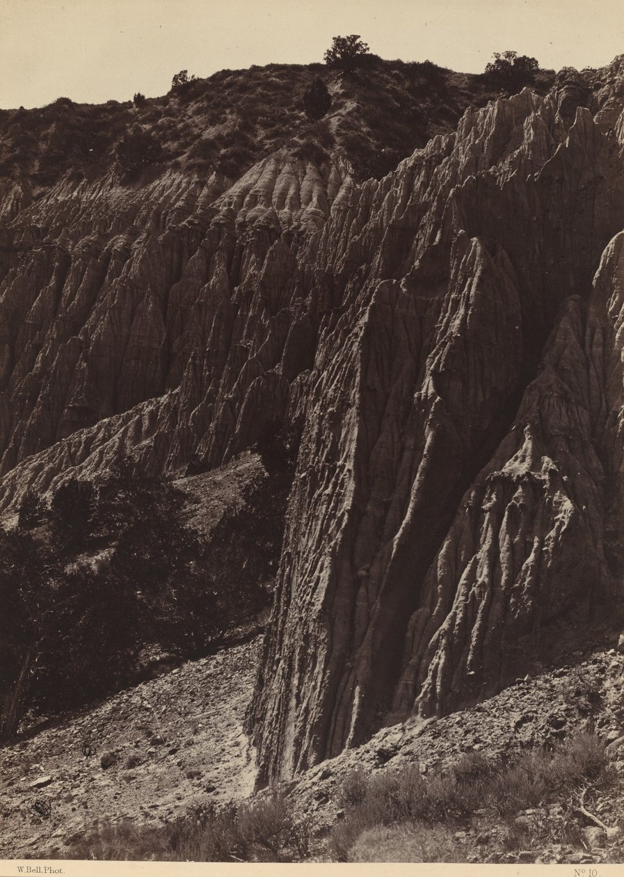 Scultura della pioggia, Salt Creek Canyon, Utah da William H. Bell
