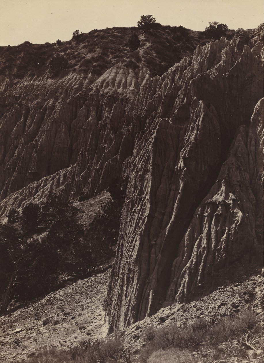 Scultura di pioggia, Salt Creek Canon, Utah da William H. Bell