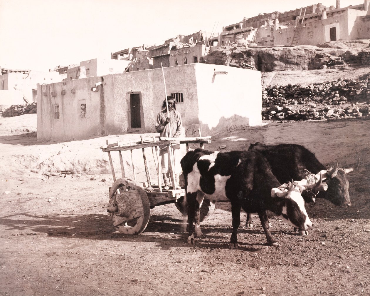 La vecchia Carreta, Laguna, Nuovo Messico da William H. Jackson