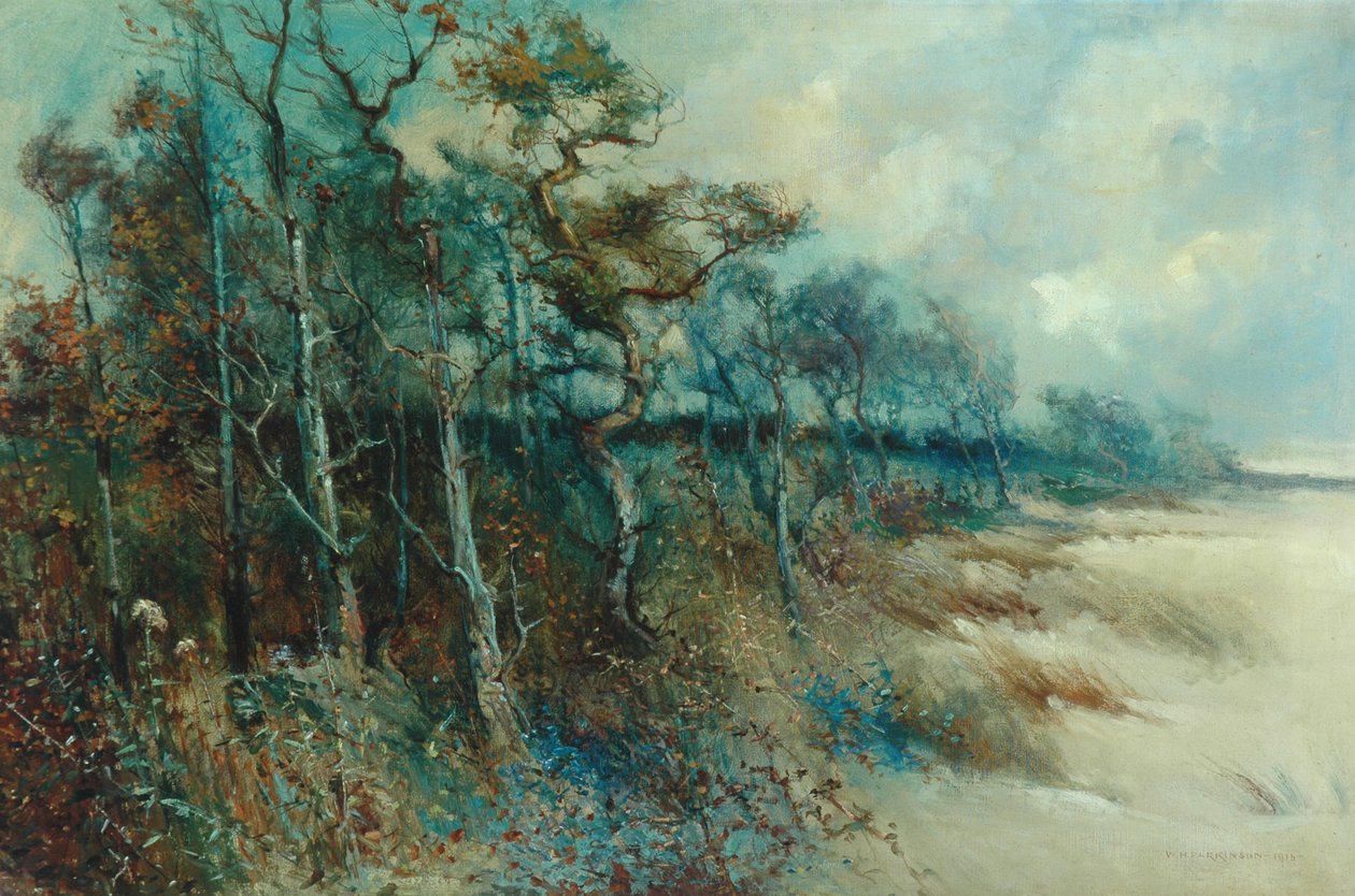 Alberi in un paesaggio sabbioso, Heysham, 1915 da William H. Parkinson