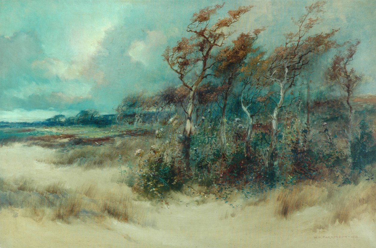 Alberi in un sentiero sabbioso, Heysham, 1916 da William H. Parkinson