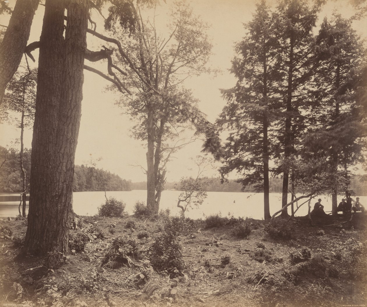 Lago Ganoga da William H. Rau