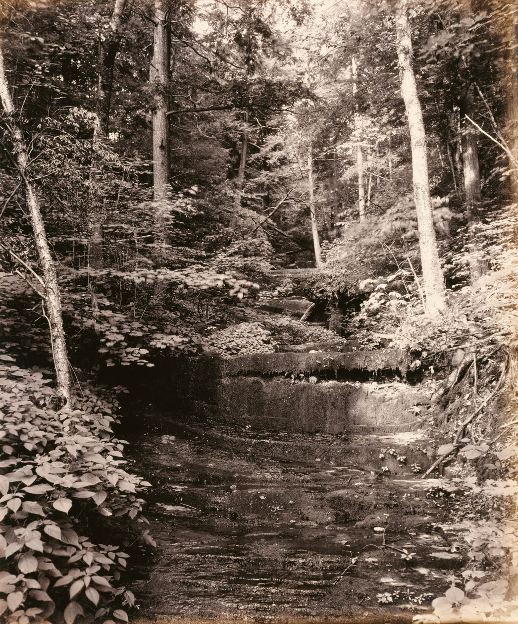 Lago di Owasco, Cascade Glen, per la Lehigh Valley Railroad da William H. Rau