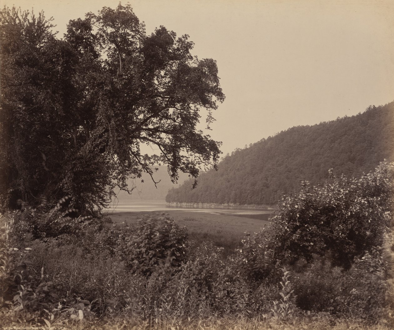 Il Susquehanna vicino a Wyalusing da William H. Rau