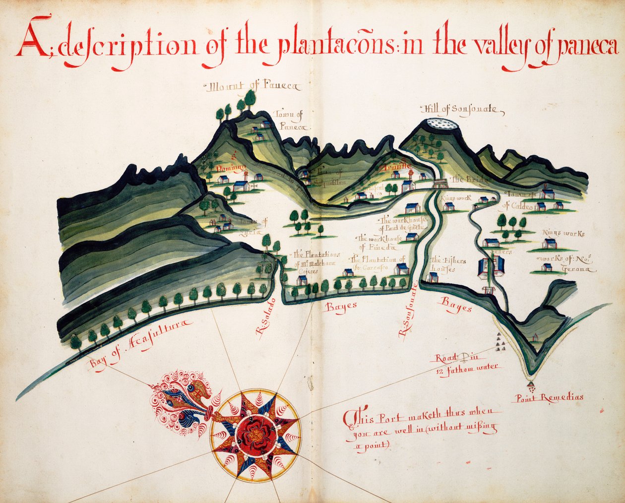 Descrizione delle piantagioni nella Valle di Paneca da William Hack