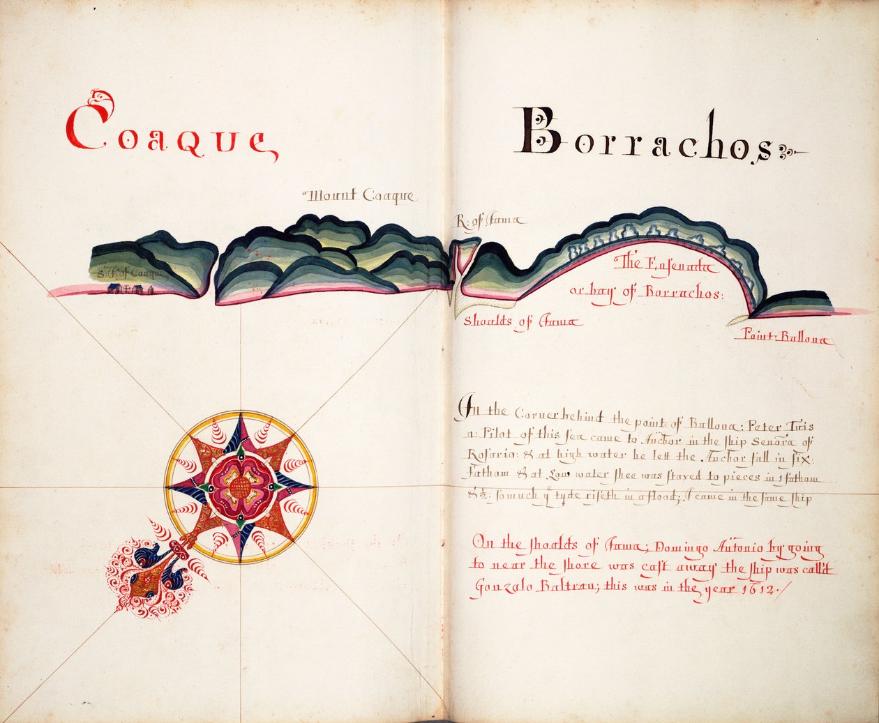 Coaque e Borrachos da William Hack