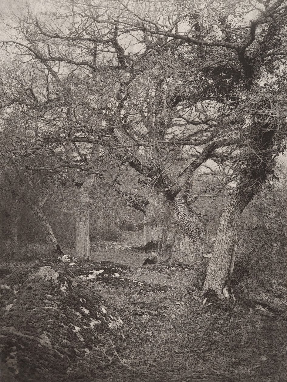 Foresta di Fontainebleau da William Harrison