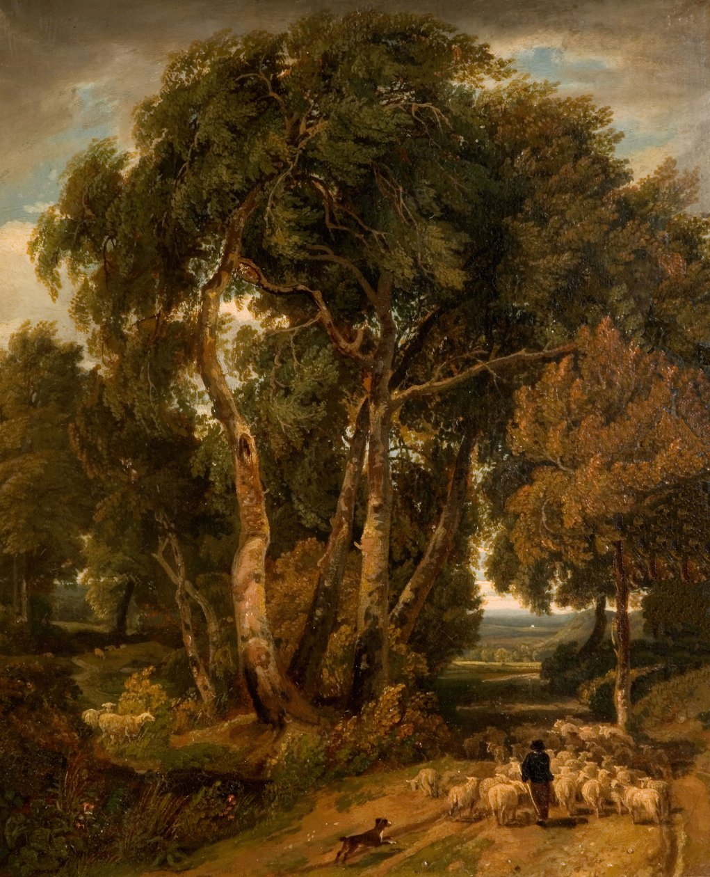 Portare a casa il gregge da William Havell