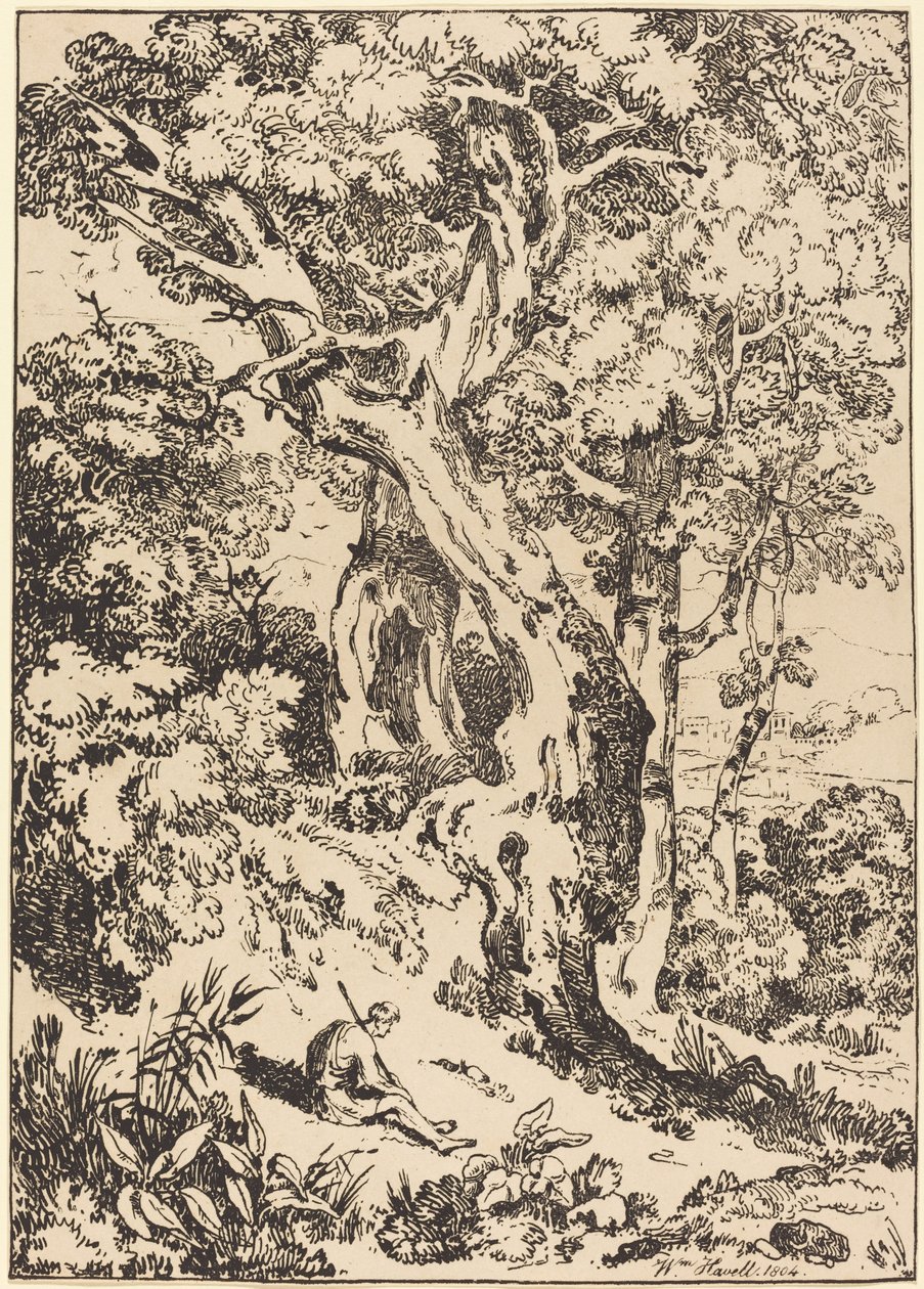 Studio di alberi e arbusti con figura seduta da William Havell