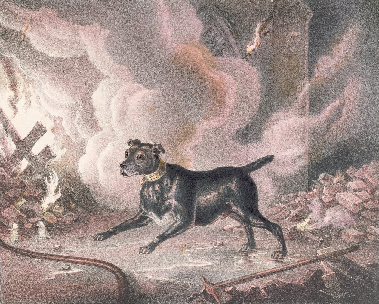 Il cane dei pompieri di Londra da William Heath